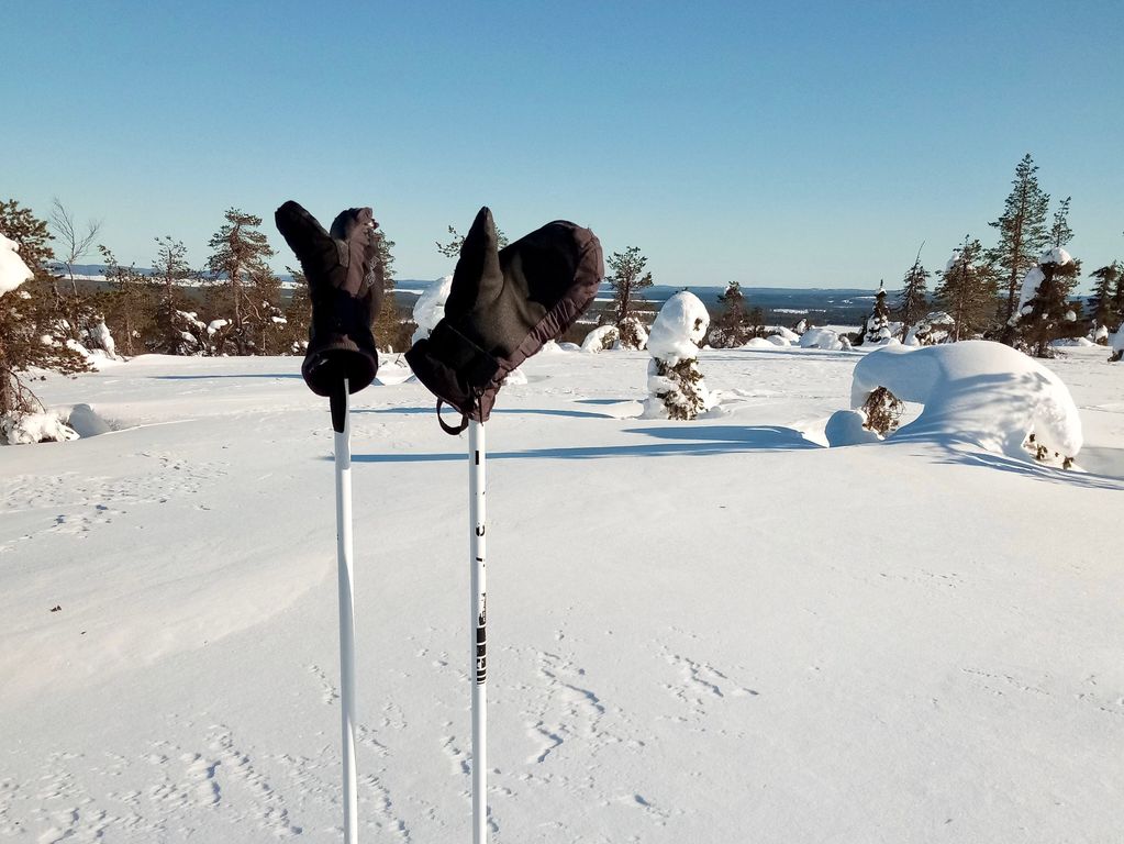 Sneeuwschoenwandeling excursie